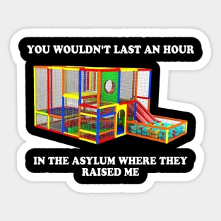 You Wouldn't Last An Hour In The Asylum Where They Raised Me Sticker